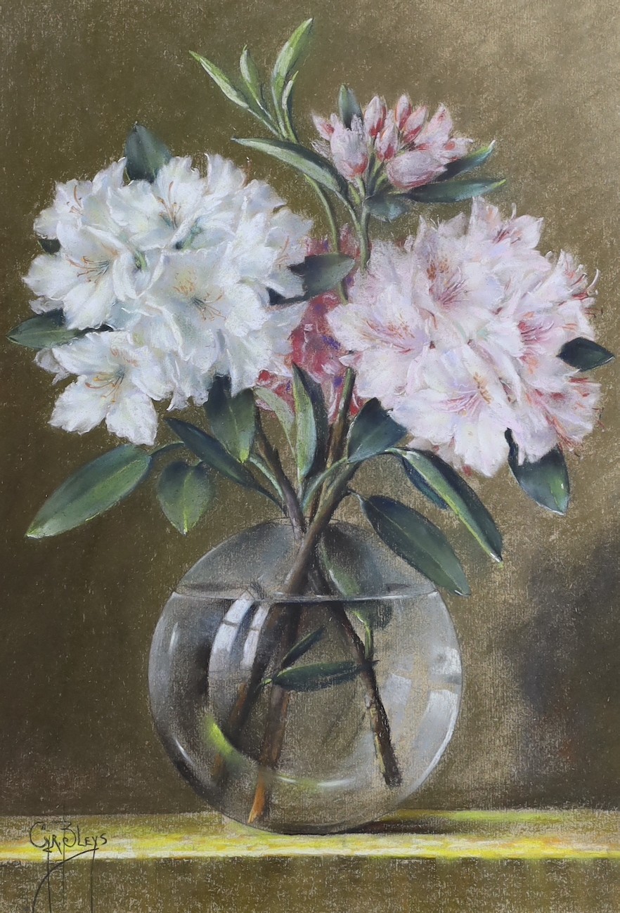 Adrianus Cyriacu Bleys (Dutch, 1842-1912), pastel, Still life of Rhododendron blooms in a glass vase, signed, 52 x 35cm
